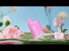 Drala 600/800 Puffs Bút Vape dùng một lần Hương vị trái cây Vape Thuốc lá